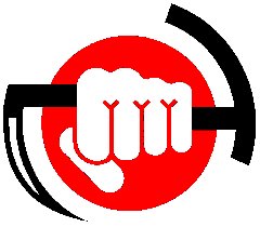Karate Logo 2